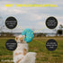 Playology Plush Squeaky Ball Dog Toy - Engaging All Natural Peanut Butter Scented Plush Dog Toy with Interactive Squeaker for Medium Dogs (15-35lbs) - Easy to Clean - Squeak, Chew, Fetch, and Play!