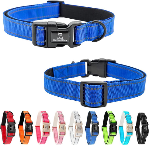 Lionheart Glory Reflective Dog Collar, Durable Soft Classic Collar for Small Dogs, Blue Pet Gift