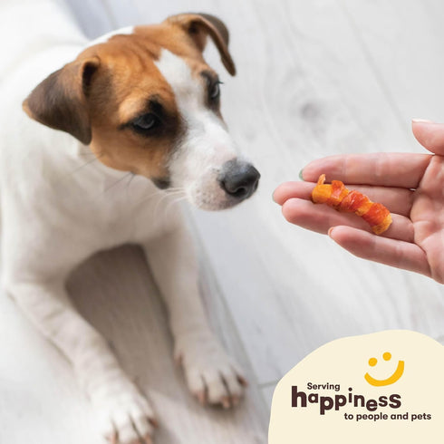 Pet 'n Shape Sweet Potato Chews – Natural Chicken Wrapped Sweet Potato Dog Treats, 42 Ounce