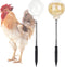 CYG&CL 2 Pack Chicken Peck Toy, Chick Slow Feeder Ball & Enrichment