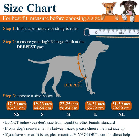 VIVAGLORY Sports Style Dog Life Jacket, Adjustable & Durable, Extra Flotation Swim Vest for Small Dogs, Blue