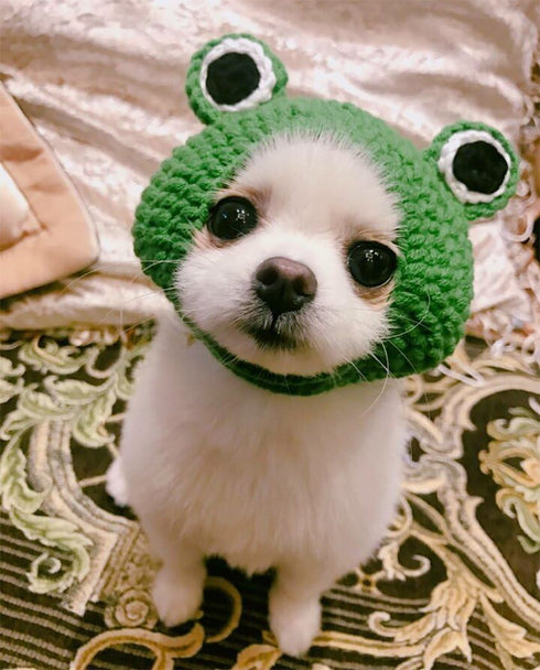 Pet Hat - Handmade Knitted Woolen Yarn Cap for Dog Cat Puppy Teddy Cartoon Frog Grooming Accessories, Green, M