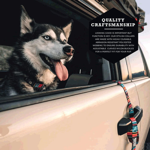 Wolfgang Premium Adjustable Dog Training Collar - Made in USA, Quetzal Print for Small Medium Large Dogs (5/8 Inch x
