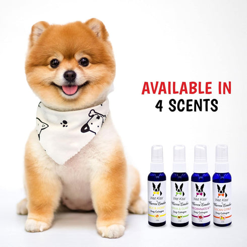 Warren London Wet Kiss Dog Cologne, 2 Ounce Bottle, Pomegranate & Fig, Long Lasting Spray