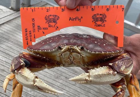 AirFly Crab and Lobster Gauge - Measure for Dungeness, Rock Crab, Blue Crab - Designed in San Francisco, USA