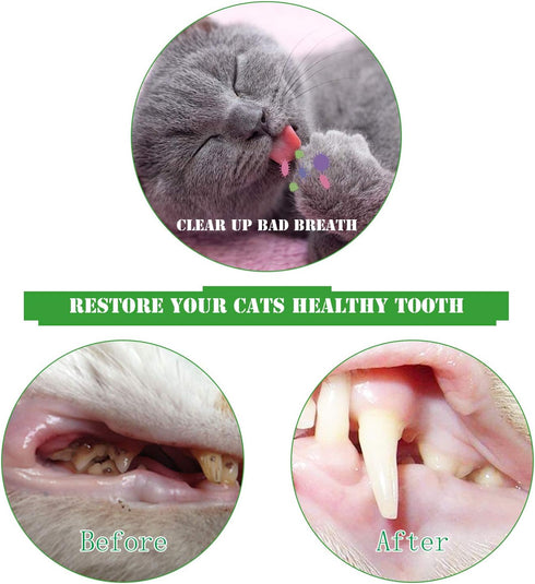 Cat Toothbrush Catnip Toy, Interactive Rubber Dental Care for Kittens, Crayfish-Shaped Chewing Toy (2 Pack)