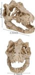 2Pcs Small Resin Dinosaur Skull Skeleton Aquarium Decoration, Fish Tank Cave for Reptile House