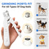 GJKQRJ 2-in-1 Pet Nail Clipper & Grinder Features Dual LED Lights, USB Rechargeable, Low-Noise Electric Grinding