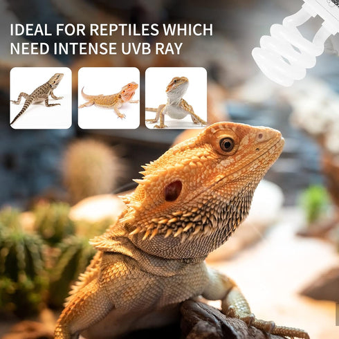 LUCKY HERP 13W UVB 15.0 Intense UVA UVB Compact Fluorescent Lamp - Desert Terrarium Light Bulb for Reptile and Amphibian