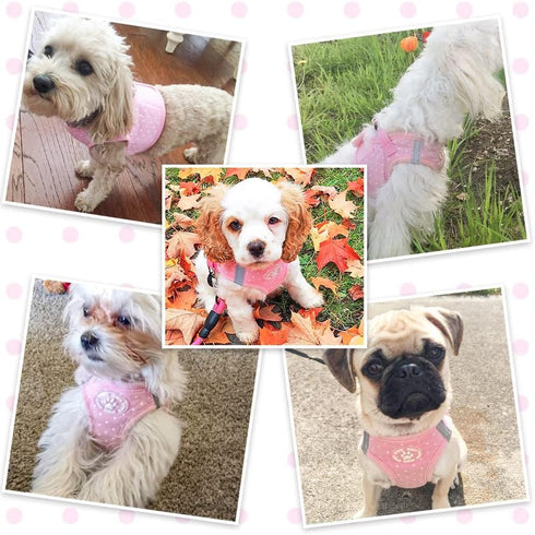 BINGPET Vest Harness for Puppy and Cat, No Pull Adjustable Reflective Step-in Harness, Cute Pink Polka Dot for Small