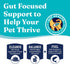 Solid Gold Indoor Dry Cat Food - Grain & Gluten Free, Chicken, 3lb, for Hairball & Sensitive Stomach