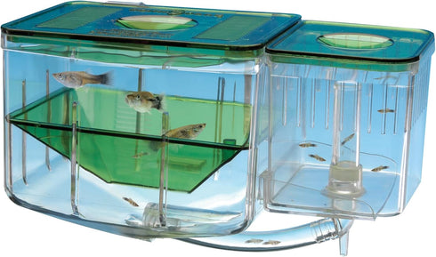 Penn-Plax AN2 Aqua Nursery and Hatchery Breeding Box for Aquarium, Protect Baby Fish from Predators