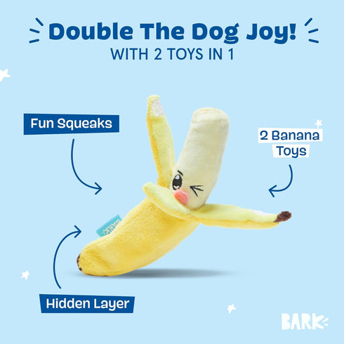 2 1 Barkbox Dog Toy in Interactive, Plush Exterior with Squeaker & Crinkle Material, Tearable Dog Toy with Squeaky