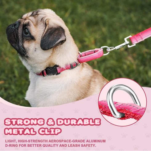 Martingale Dog Collar, Pink Light-Reflective Polyester for Whippets, Greyhounds, No-Pull No-Escape Adjustable Collars