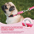 Martingale Dog Collar, Pink Light-Reflective Polyester for Whippets, Greyhounds, No-Pull No-Escape Adjustable Collars