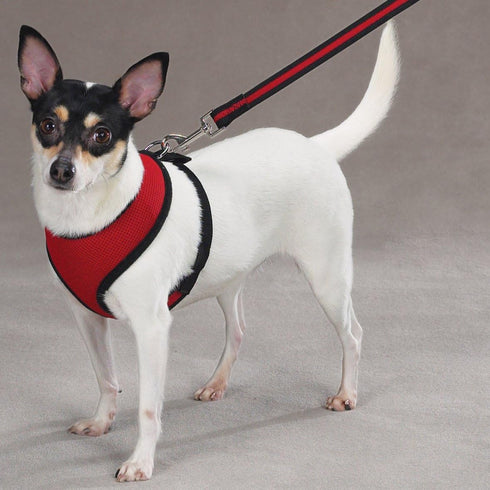 Mesh Dog Harness, Small, Red, Comfortable Pet Gear