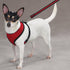 Mesh Dog Harness, Medium, Red, Durable Pet Gear