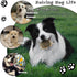 5 Pack Hide and Seek Dog Toys, Mushroom Crinkle Paper Hideaway with Squeaky Hedgehogs Interactive Plush Puzzle Puppy