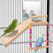 Kyouki Bird Perch Platform Bird Toys with Bird Mirror Climbing Ladder Swing, Parakeet