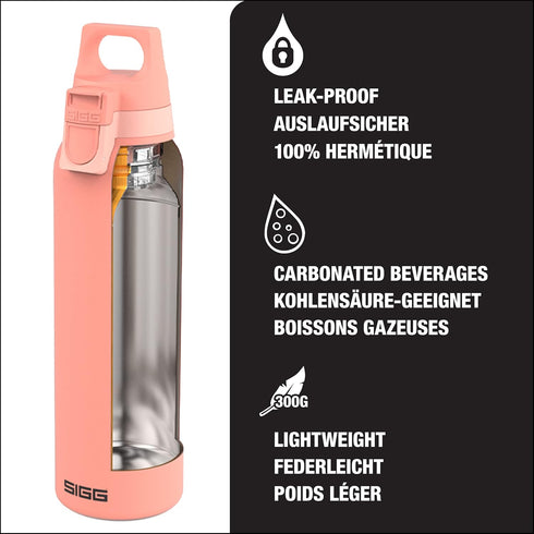 SIGG Insulated Flask, Thermo Hot & Cold ONE Light, BPA-Free Stainless Steel, 19 Oz