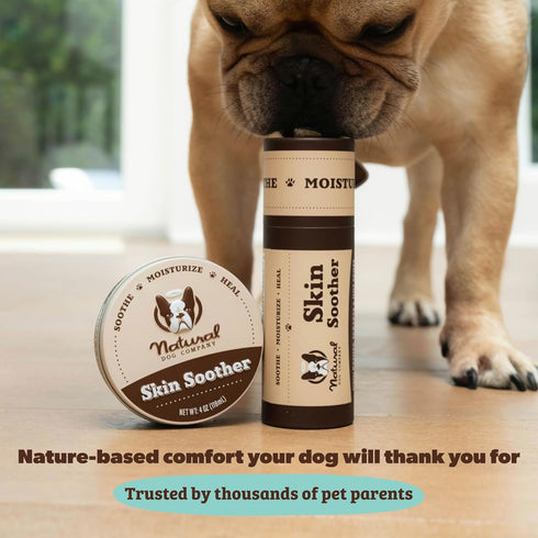 2 oz Natural Dog Company Skin Soother Balm for Skin Irritation, Allergy and Itch Relief for Dogs, Hot Spot Treatment
