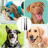 Dog Toothbrush, 4 Pcs Soft Dog Tooth Brushing Kit, Long Handle Pet Toothbrush for Dogs Teeth Cleaning and Oral Care