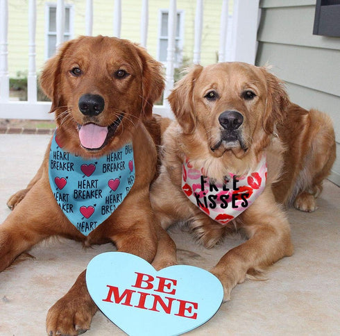 2 Pack Valentines Day Bandana for Dogs, Triangle Bibs Pet Scarf for Dogs
