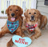 2 Pack Valentines Day Bandana for Dogs, Triangle Bibs Pet Scarf for Dogs