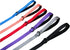 4 Feet Dog Leash with Padded Handle | Sturdy Nylon Leads for Small Medium Large Dogs Walking, Training, Hiking (Living