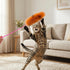 Apojgitn 5Pcs Set Cat Toys for Indoor Toys, Interactive Cat Wand Toy Interactive Pet Kitten Teaser Soft Plush Teaser
