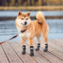 KOOLTAIL Non Slip Dog Socks to Prevent Licking Paws, Waterproof Paw Protector for Small Medium Large Dogs