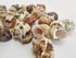 Florida Shells and Gifts Inc. 30 1"-2" 1/2"-1") FSG - Select Hermit Crab Shells Lot Size (Opening Seashells - Includes