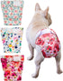 CuteBone Washable Dog Diapers Female No Tail Hole 3 Pack Reusable Doggie