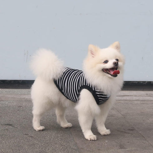 Classic Striped Teacup Pet Dog T-Shirts, 100% Cotton Tank Vest for Small Dogs, Sleeveless Clothes for Chihuahua