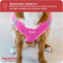 Downtown Pet Supply Step in Dog Harness for Small Dogs | Adjustable No Pull Harness, Pink with Padded Mesh Fabric