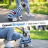 Queenmore Striped Dog T-Shirt, Long Sleeve Cotton Shirt for Small Medium Dogs Cats, Outfits for Frenchie, Dachshund,