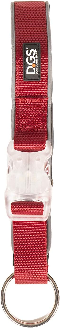 Dog Gone Smart Super Bright LED Safety Comet Collar for Dogs, Adjustable Breathable Strong Nylon, Medium, Large, Small