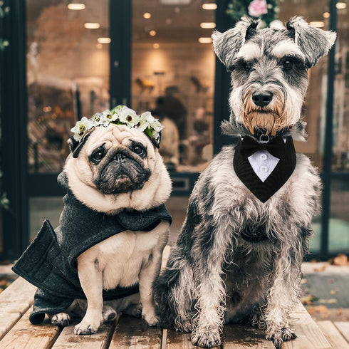 Dog Wedding Bandana, Formal Adjustable Pet Collar with Bow for Small, Medium, Large Dogs, Birthday Gifts (Small, Black)