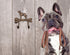 Dog Leash Holder, Cast Iron, Antique Bronze, Wall Mount, 2 Hooks, 6.9x6.9x1.8 inches, AR001