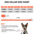 Leather Dog Collar for Small Medium Dogs, Adjustable Star Moon Rivet Studded, Rust-Proof Metal Buckle, Orange, Size
