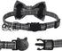 SLSON 2 Pack Breakaway Cat Collar with Bell and Bow Tie, Adjustable Plaid Kitten Collar for Cats and Small Dogs