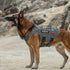 OneTigris Tactical No Pull Dog Harness, Breathable Mesh Design Service Vest for Small Dogs, Molle with Handles