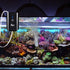 AQQA Aquarium Air Pump, Battery Rechargeable Portable Oxygen Pump for Fresh & Saltwater Tanks, 1.7 W