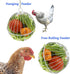 Vehomy 2PCS Chicken Treat Ball Chicken Vegetable Feeder Veggie Hanging Ball Toy for Hens