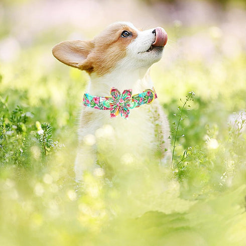 Dog Collar Pink Flowers Print, Cute Girl Collar with Flower Adjustable Metal Buckle Gift for Large Dogs
