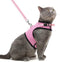 PUPTECK Soft Mesh Cat Vest Harness and Leash Set, Escape Proof Padded Pet Harness for Small Dogs, Pink Large