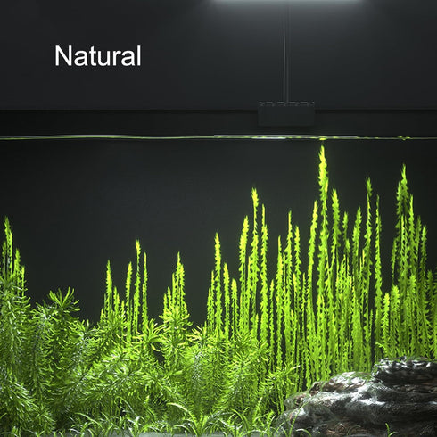 Carefree Fish Aquarium LED Light RA 92, USB 5V Clip Light for Fish Tank