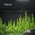 Carefree Fish Aquarium LED Light RA 92, USB 5V Clip Light for Fish Tank