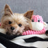ZippyPaws Spencer The Crinkle Monkey Dog Toy - Pink, Small, Plush Toy with Squeaker and Crinkle