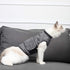 Coppthinktu Cat Anxiety Jacket - Vet Recommended Calming Solution Shirt for Cats, Anti-Anxiety Wrap for Travel &